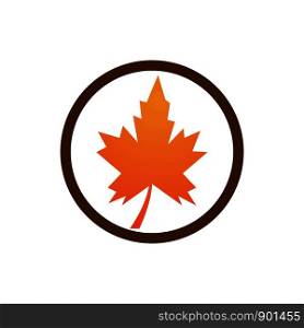 autumn leaf icon vector design template