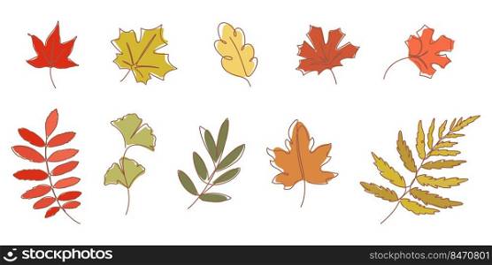 autumn leaf line element for decoration,card,presentation,printing,advertising,poster,ornament,elements,background,etc.