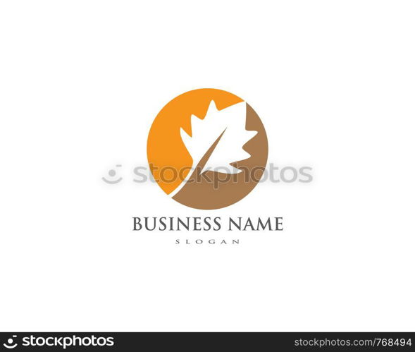 Autumn Leaf Logo template vector illustration