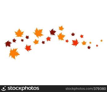 autumn leaf logo vector icon