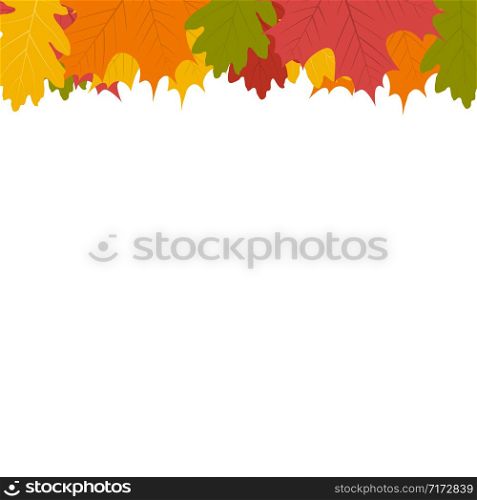 Autumn leaf on a white background