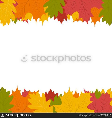 Autumn leaf on a white background