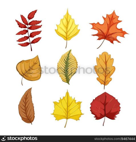 autumn leaf set cartoon. orange season, color leaves, tree nature autumn leaf sign. isolated symbol vector illustration. autumn leaf set cartoon vector illustration