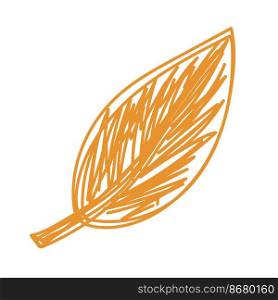 Autumn leaf sketch. Hand drawn vector illustration. Pen or marker doodle plant.. Autumn leaf sketch. Hand drawn vector illustration. Pen or marker doodle plant