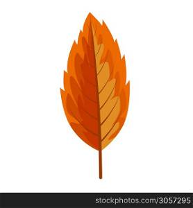 Autumn leave or Orange leaf isolated on white background.Autumn and fall season concept.Vector illustration eps 10