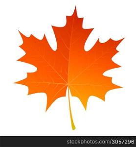 Autumn leave or Orange leaf isolated on white background.Autumn and fall season concept.Vector illustration eps 10