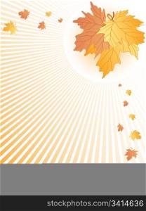 autumn leaves abstract. vector