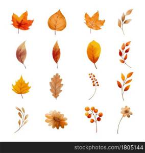 Autumn leaves and flower set isolated on white background. Leaf with watercolor style.