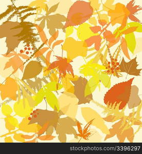 Autumn leaves background