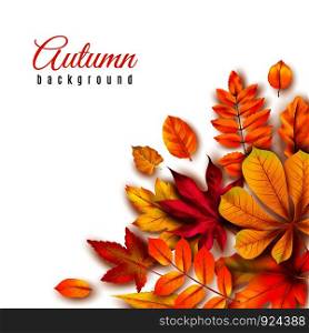 Autumn leaves background. Autumnal border with isolated yellow maple, oak and rowan foliage. Fall theme 3d banner vector seasons abstract paint art template. Autumn leaves background. Autumnal border with isolated yellow maple, oak and rowan foliage. Fall theme for vector template of 3d banner