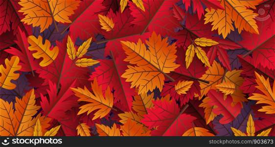 Autumn leaves background design vector illustration