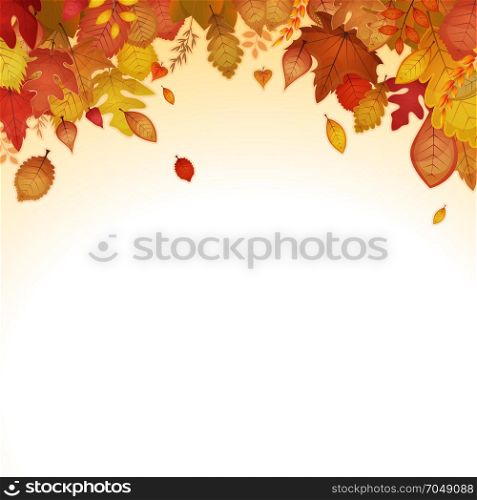 Autumn Leaves Background. Illustration of an autumn and fall season background, with orange, red and yellow leaves, from various plants and trees species
