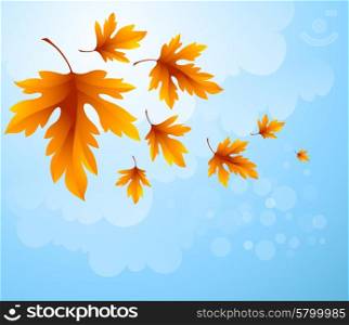 Autumn leaves background of blue sky. Vector illustration. Autumn leaves background of blue sky. Vector illustration EPS 10