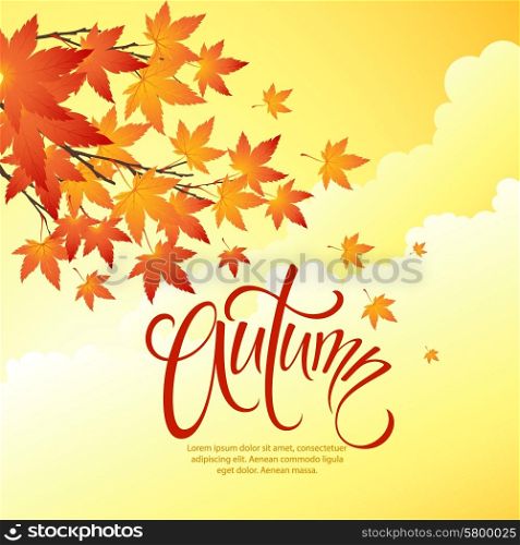 Autumn leaves background of sky. Vector illustration. Autumn leaves background of sky. Vector illustration EPS 10