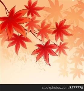 Autumn leaves background of sky. Vector illustration. Autumn leaves background of sky. Vector illustration EPS 10