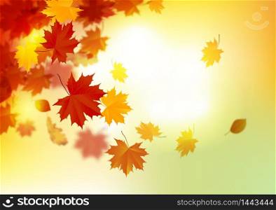 Autumn leaves background. vector