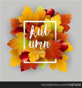 Autumn leaves background.Vector