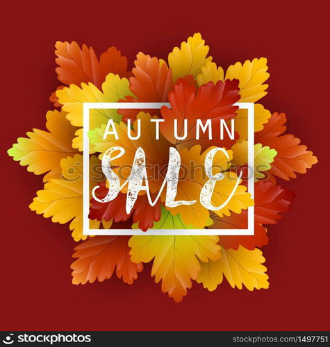 Autumn leaves background.Vector