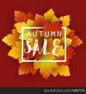 Autumn leaves background.Vector