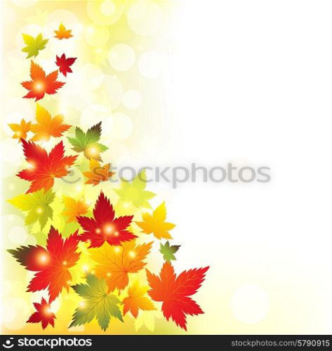 Autumn leaves background. Vector illustration EPS 10. Autumn leaves background.Vector.