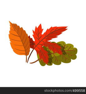 Autumn leaves cartoon icon on the white background. Autumn leaves cartoon icon