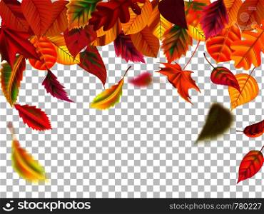 Autumn leaves fall. Falling blurred leaf, autumnal foliage fall and wind rises yellow leaves. Leaf decoration frame, september botanical header birch or october border isolated vector illustration. Autumn leaves fall. Falling blurred leaf, autumnal foliage fall and wind rises yellow leaves isolated vector illustration