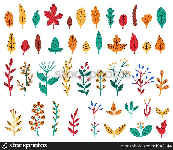 Autumn leaves. Fall forest leaves and berries, cozy doodle floral herbs, wildflowers, botanical tree foliage isolated vector illustration set. Autumn forest, yellow fall, foliage color. Autumn leaves. Fall forest leaves and berries, cozy doodle floral herbs, wildflowers, botanical tree foliage isolated vector illustration set