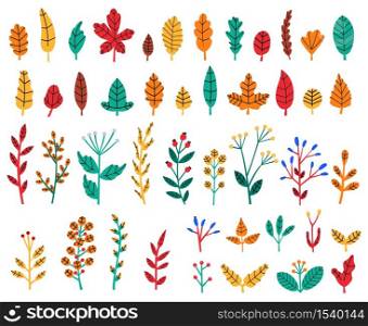 Autumn leaves. Fall forest leaves and berries, cozy doodle floral herbs, wildflowers, botanical tree foliage isolated vector illustration set. Autumn forest, yellow fall, foliage color. Autumn leaves. Fall forest leaves and berries, cozy doodle floral herbs, wildflowers, botanical tree foliage isolated vector illustration set