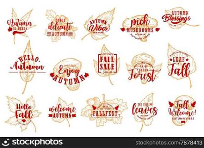 Autumn leaves, fall season sale labels and icons, vector holiday lettering. Autumnal leaf, oak acorn and forest mushroom symbols with"es of love, welcome autumn and promotion discount. Autumn leaves, fall season sale labels
