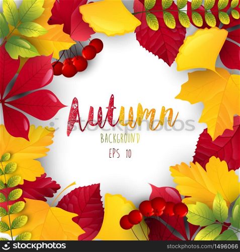 Autumn leaves frame background.Vector