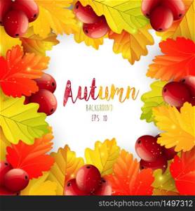 Autumn leaves frame background.Vector