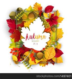 Autumn leaves frame background with autumn leaves silhouettes.Vector
