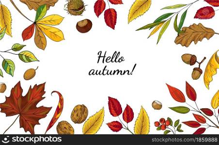 Autumn leaves frame. Hand drawn botanical borders with red and orange falling forest foliage. Yellow maple and oak branches. Chestnut or acorns. Seasonal banner design. Vector natural background. Autumn leaves frame. Hand drawn botanical borders with red and orange falling foliage. Yellow maple and oak branches. Chestnut or acorns. Seasonal banner. Vector natural background