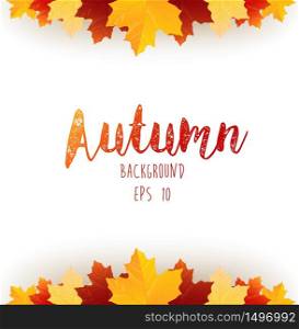 Autumn leaves frame isolated a white background.vector