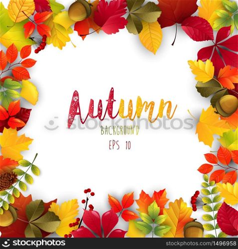 Autumn leaves frame isolated background.Vector