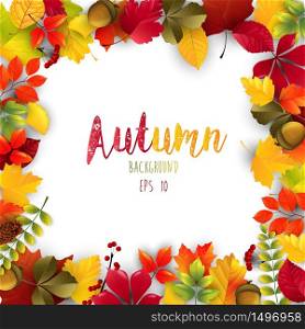 Autumn leaves frame isolated background.Vector