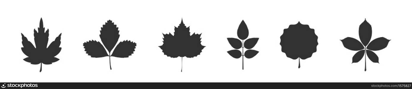 autumn leaves icons. vector leaf icons. vector illustration