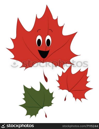 Autumn leaves, illustration, vector on white background.