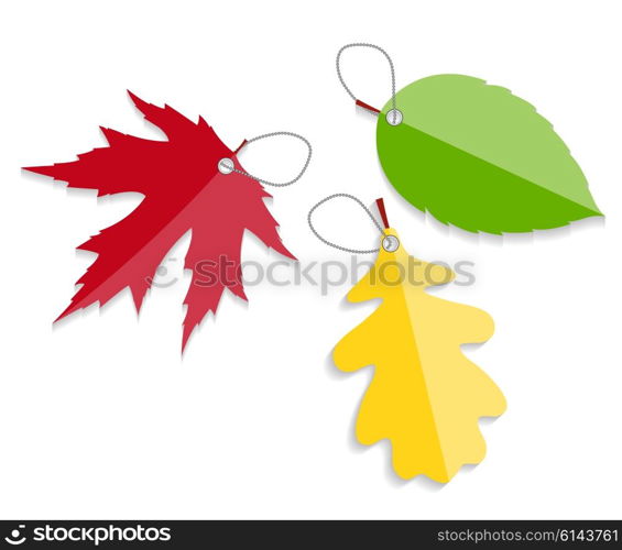 Autumn Leaves Labels Vector Illustration