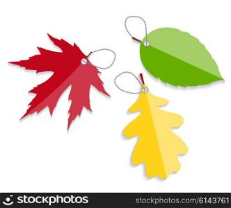 Autumn Leaves Labels Vector Illustration