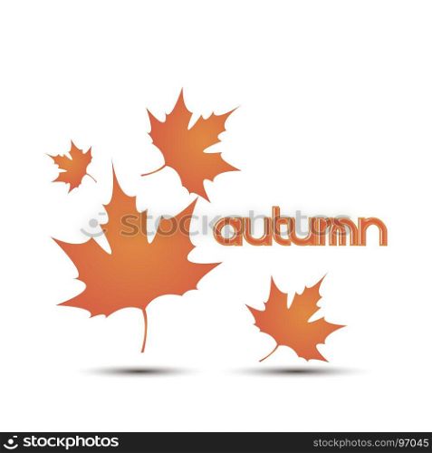 Autumn leaves leaf vector background fall white illustration yellow design nature