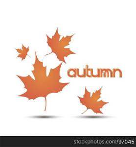 Autumn leaves leaf vector background fall white illustration yellow design nature