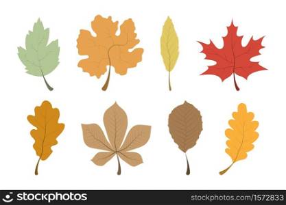 Autumn Leaves. Leaves collection. Leaf vector icons, isolated. Template autumn leaves in a row. Vector illustration