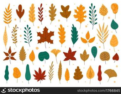 Autumn leaves. Oak, maple, elm dry fallen leaf. Hand drawn fall forest yellow or red foliage. Dried plant leaves, autumnal falling leaf vector set, Seasonal herbarium, tree branches. Autumn leaves. Oak, maple, elm dry fallen leaf. Hand drawn fall forest yellow or red foliage. Dried plant leaves, autumnal falling leaf vector set