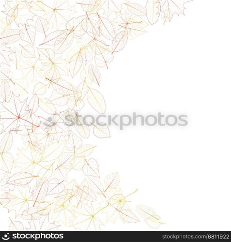 Autumn leaves on white background. plus EPS10 vector file