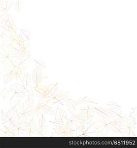 Autumn leaves on white background. plus EPS10 vector file