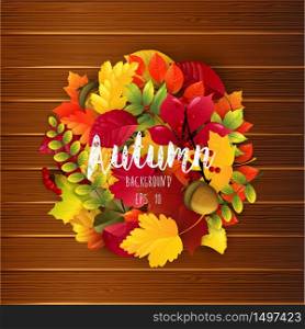 Autumn leaves on wood background.Vector