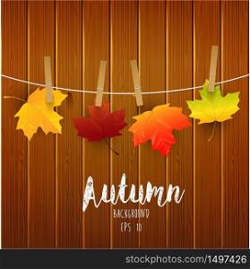Autumn leaves on wooden background.Vector