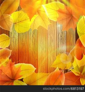 Autumn Leaves over wooden background With copy space. plus EPS10 vector file. Autumn Leaves over wooden background. EPS10