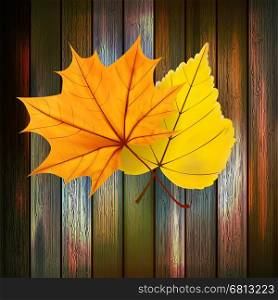 Autumn Leaves over wooden background With copy space. plus EPS10 vector file. Autumn Leaves over wooden background. plus EPS10